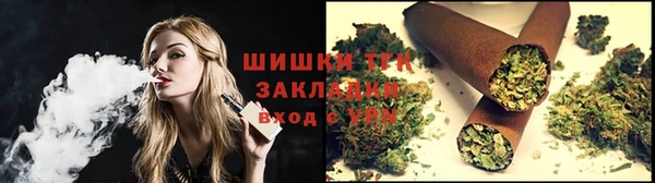 дмт Осташков