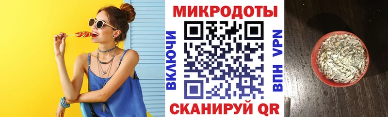 MEGA ТОР  Моршанск  Галлюциногенные грибы Psilocybine cubensis 